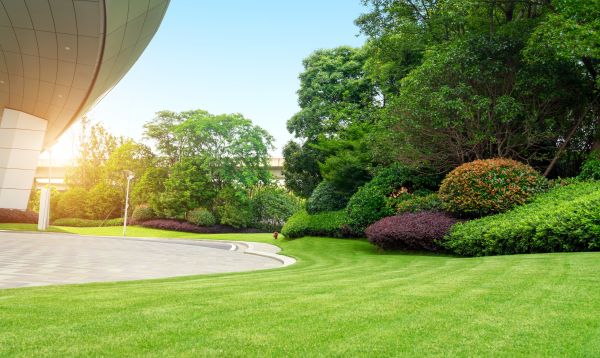 Commercial Lawn Mowing in Olympia