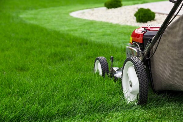 Lawn Maintenance in Olympia