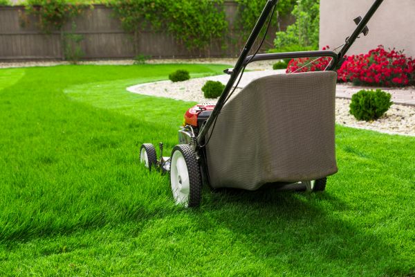 Lawn Mowing in Olympia