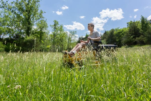 Tall Grass Mowing in Olympia
