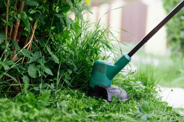 Weed Whacking in Olympia
