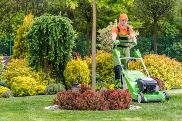 Yard Service in Olympia