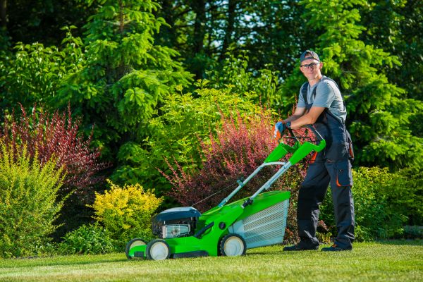 Yard Work Service in Olympia