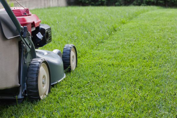 Residential Lawn Care in Olympia