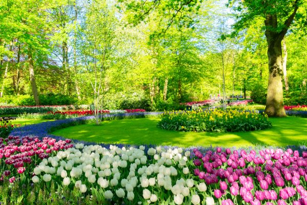 Cost of Spring Lawn Care in Olympia
