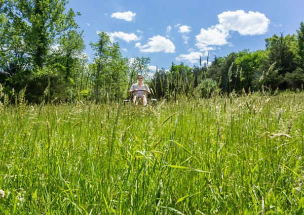 Long Grass Mowing in Olympia