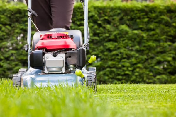Grass Trimming Service in Olympia