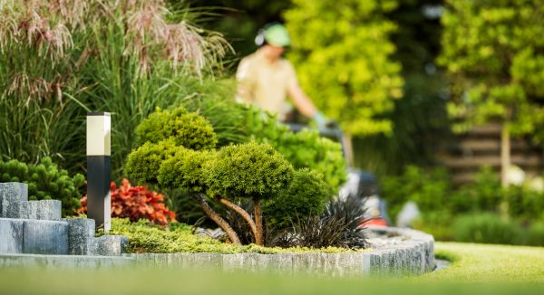 Residential Yard Maintenance in Olympia