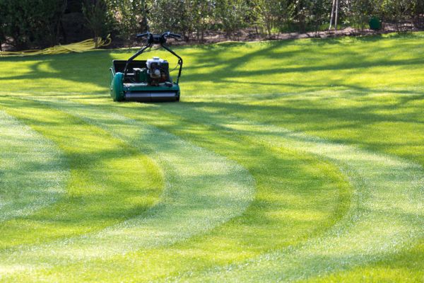 Business Lawn Mowing in Olympia