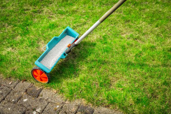 Commercial Lawn Treatment in Olympia