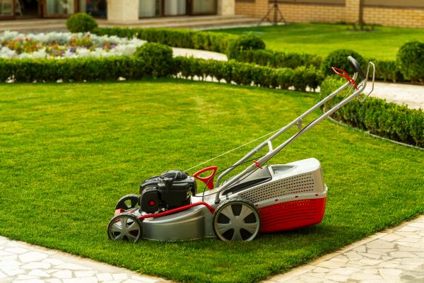 Business Grass Cutting in Olympia