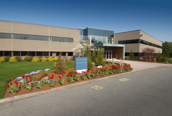 Commercial Groundskeeping in Olympia