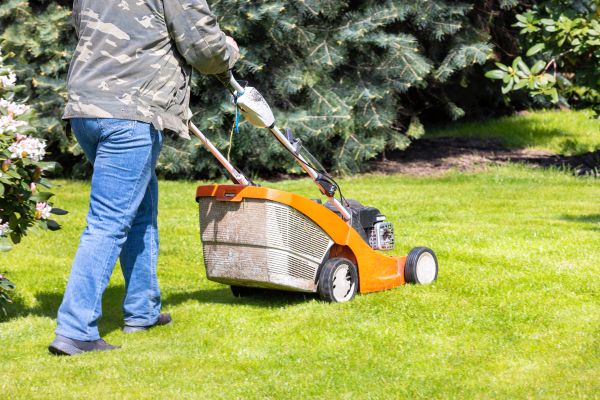 Springtime Lawn Care in Olympia