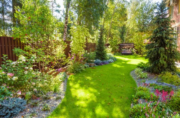 Spring Yard Maintenance in Olympia