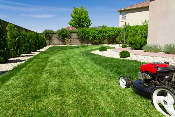 Residential Lawn Mowing in Olympia