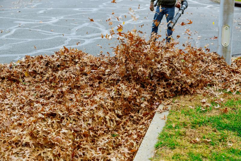 Efficient Leaf Collection