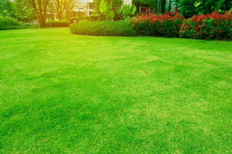 Lawn Maintenance detail